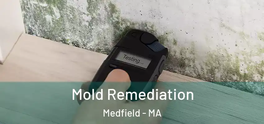  Mold Remediation Medfield - MA