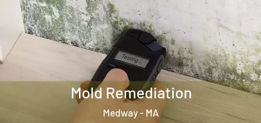 Mold Remediation Medway - MA