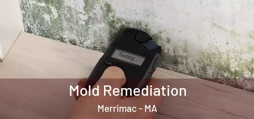  Mold Remediation Merrimac - MA