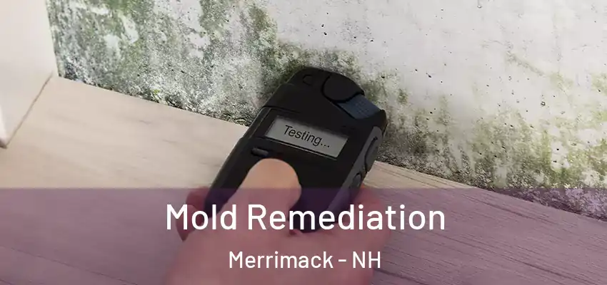 Mold Remediation Merrimack - NH