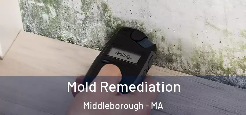 Mold Remediation Middleborough - MA