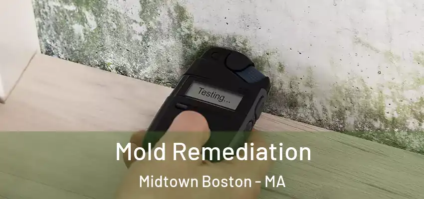  Mold Remediation Midtown Boston - MA