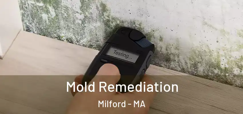  Mold Remediation Milford - MA