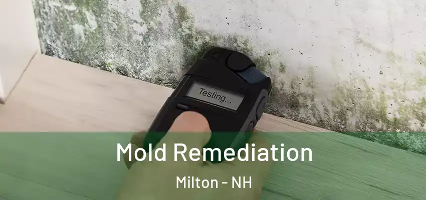  Mold Remediation Milton - NH