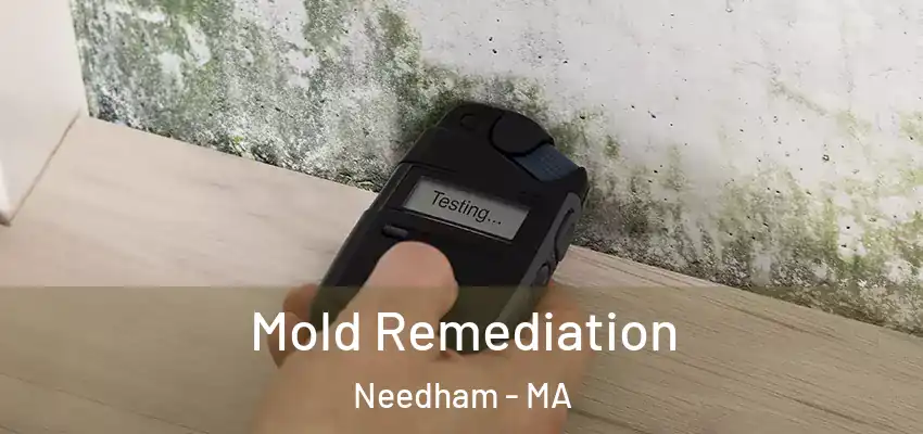  Mold Remediation Needham - MA