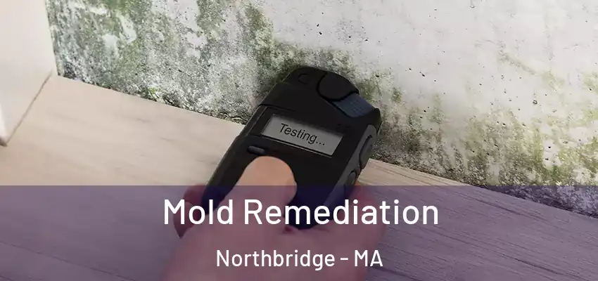 Mold Remediation Northbridge - MA