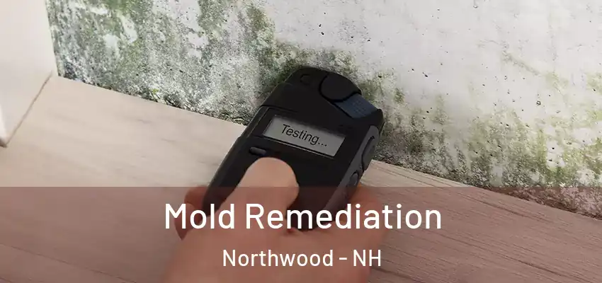  Mold Remediation Northwood - NH