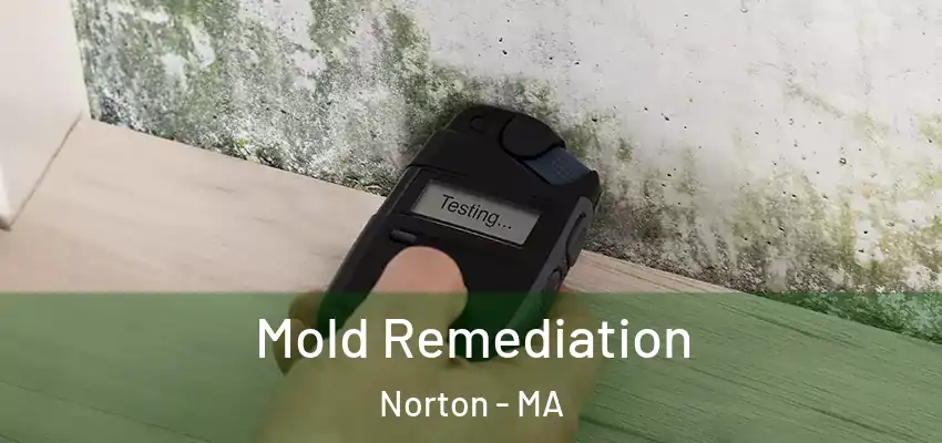 Mold Remediation Norton - MA