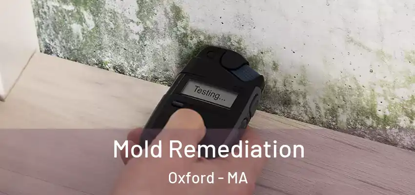 Mold Remediation Oxford - MA