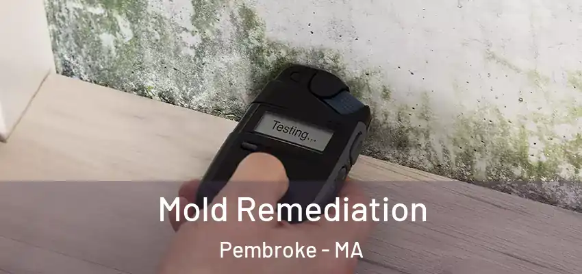  Mold Remediation Pembroke - MA