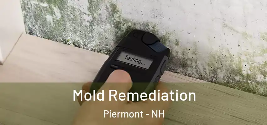 Mold Remediation Piermont - NH
