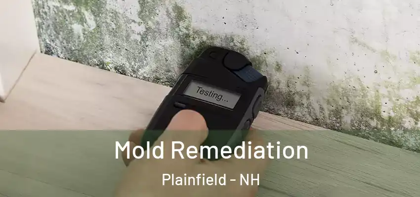  Mold Remediation Plainfield - NH