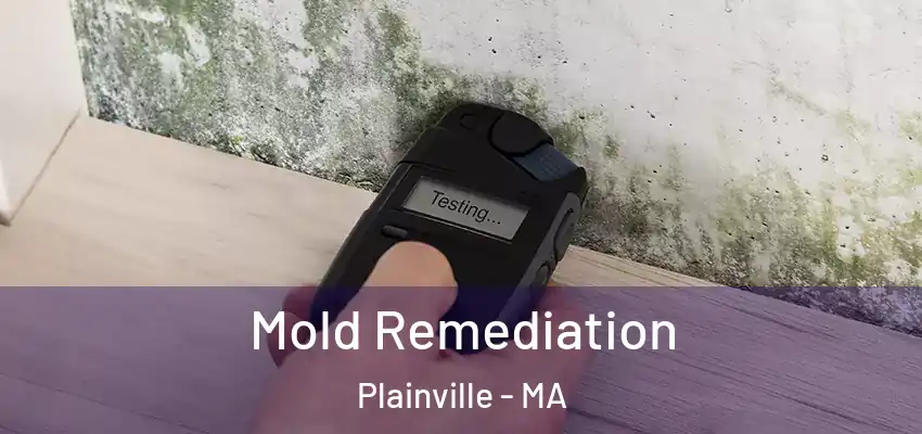 Mold Remediation Plainville - MA