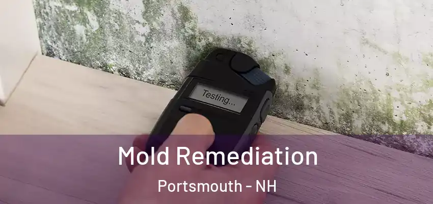 Mold Remediation Portsmouth - NH