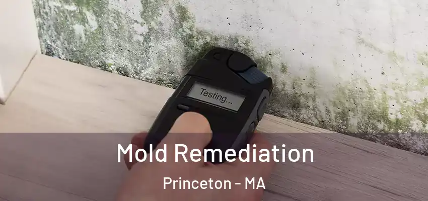  Mold Remediation Princeton - MA