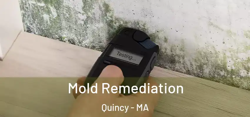 Mold Remediation Quincy - MA