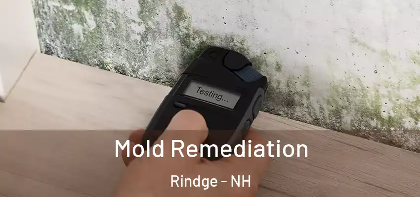 Mold Remediation Rindge - NH
