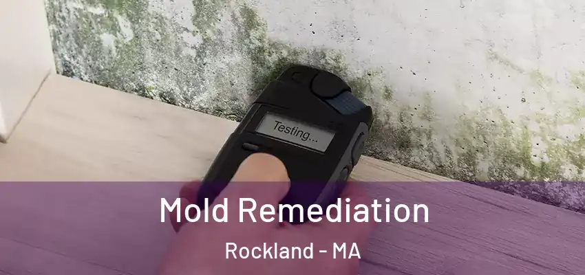 Mold Remediation Rockland - MA