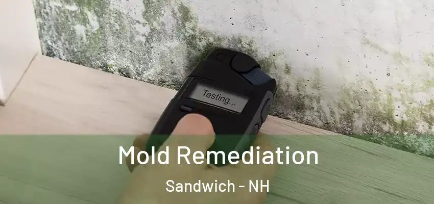 Mold Remediation Sandwich - NH