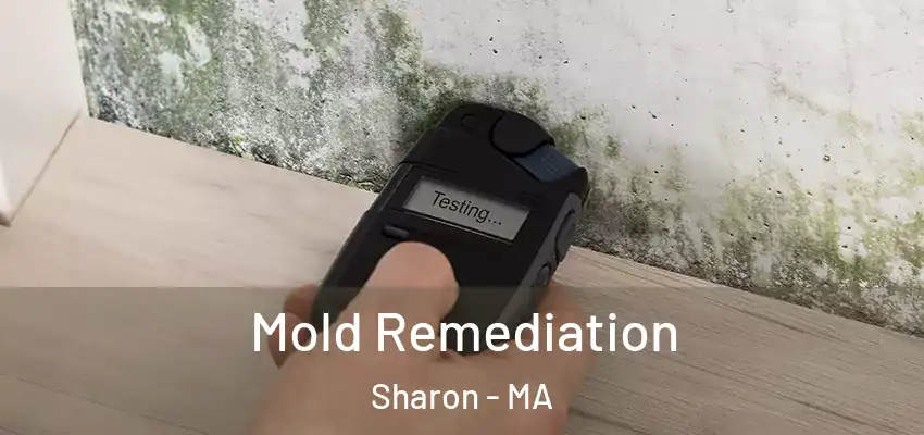  Mold Remediation Sharon - MA