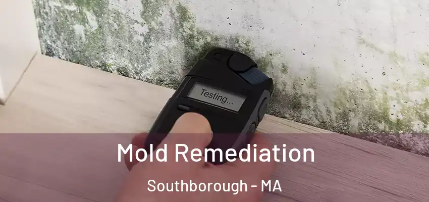 Mold Remediation Southborough - MA