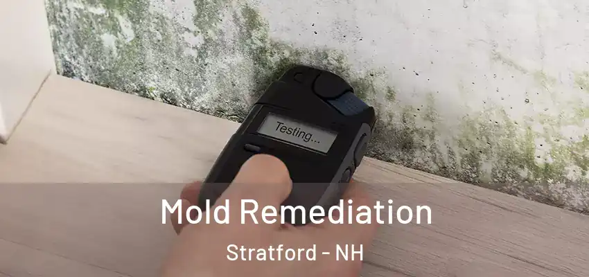 Mold Remediation Stratford - NH