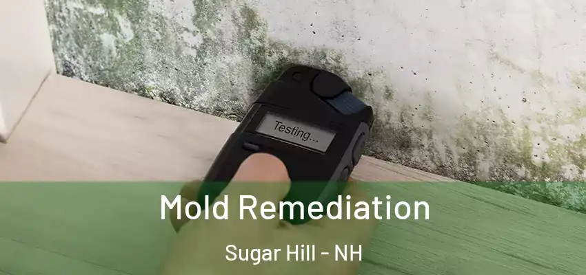 Mold Remediation Sugar Hill - NH