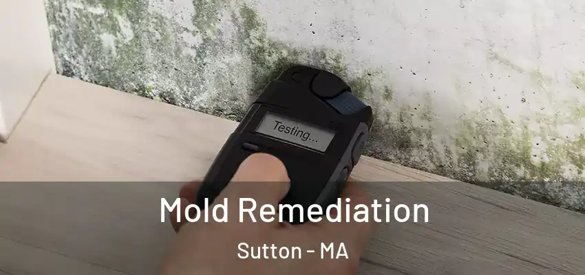 Mold Remediation Sutton - MA