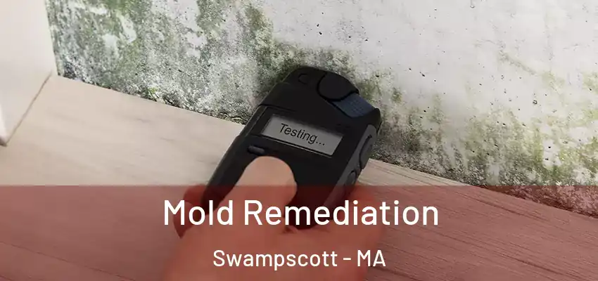 Mold Remediation Swampscott - MA