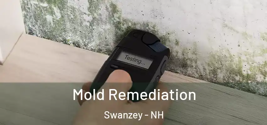 Mold Remediation Swanzey - NH