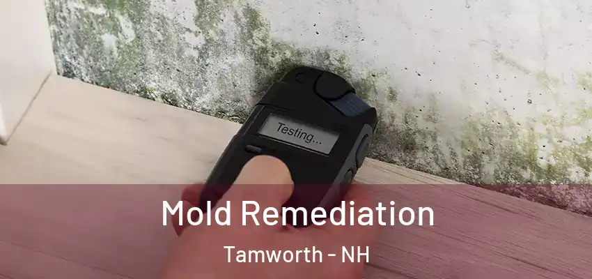 Mold Remediation Tamworth - NH