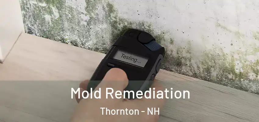 Mold Remediation Thornton - NH