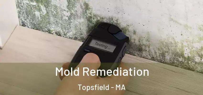 Mold Remediation Topsfield - MA