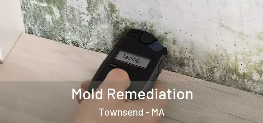 Mold Remediation Townsend - MA