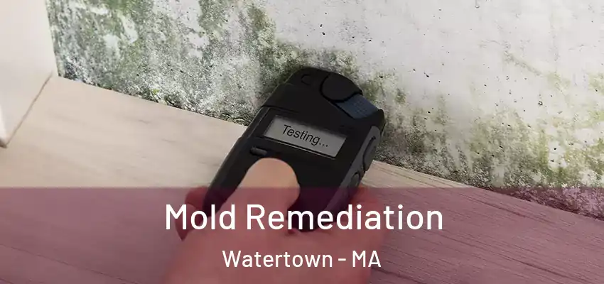  Mold Remediation Watertown - MA