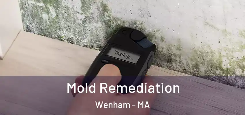 Mold Remediation Wenham - MA