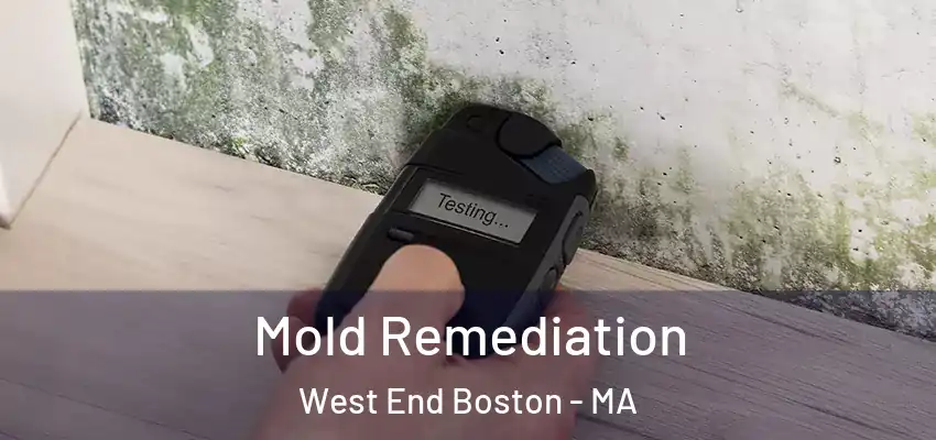  Mold Remediation West End Boston - MA
