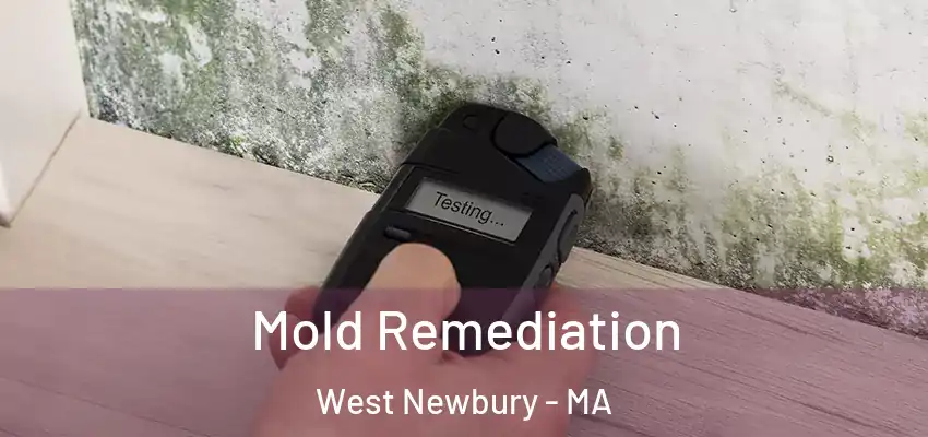  Mold Remediation West Newbury - MA