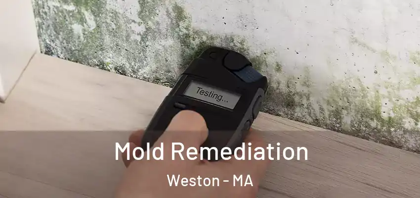 Mold Remediation Weston - MA