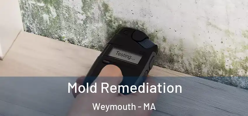  Mold Remediation Weymouth - MA