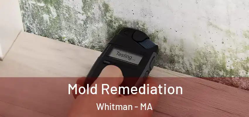 Mold Remediation Whitman - MA