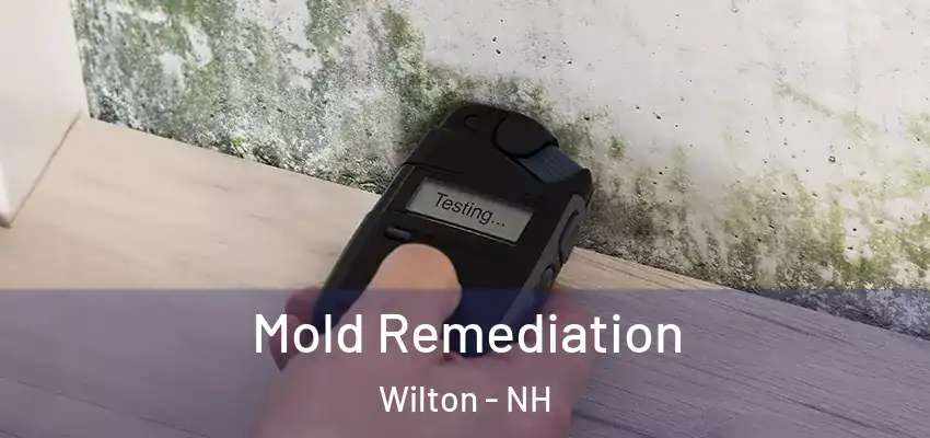  Mold Remediation Wilton - NH