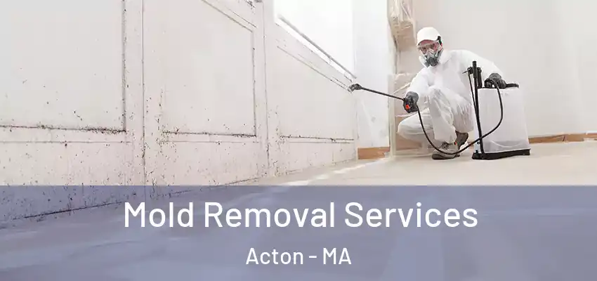 Mold Removal Services Acton - MA