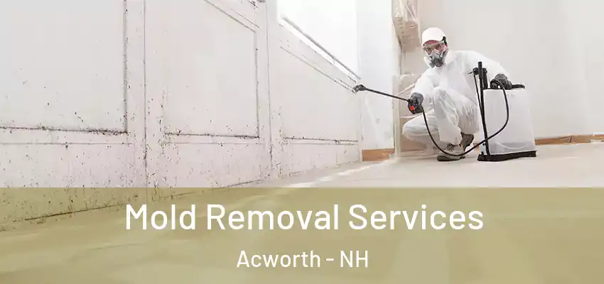 Mold Removal Services Acworth - NH