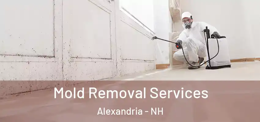  Mold Removal Services Alexandria - NH
