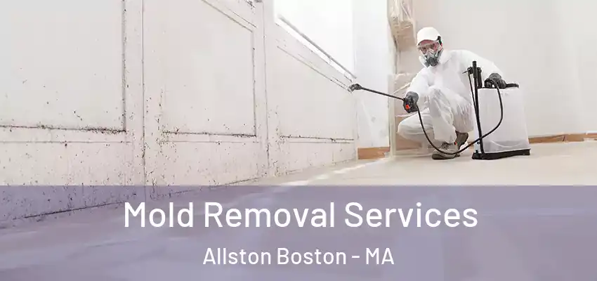  Mold Removal Services Allston Boston - MA