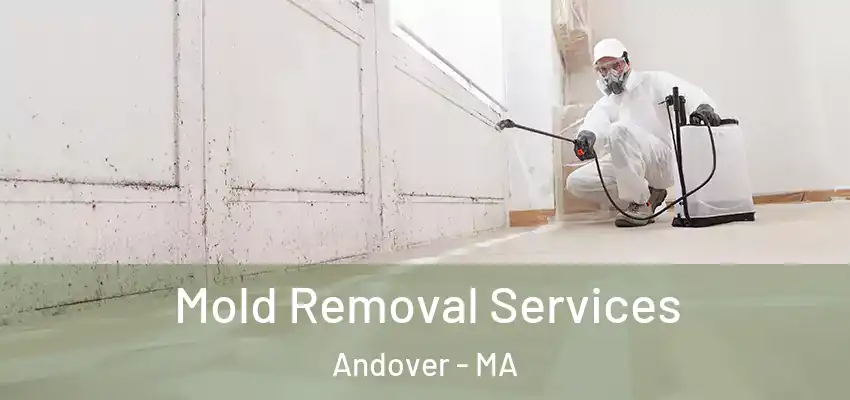 Mold Removal Services Andover - MA