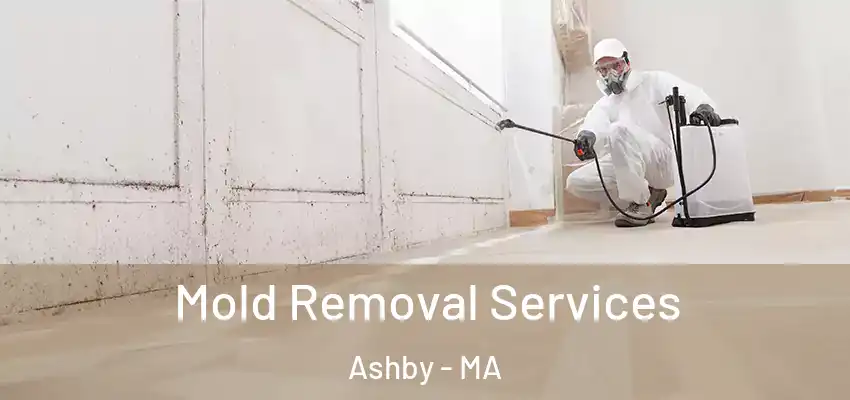 Mold Removal Services Ashby - MA