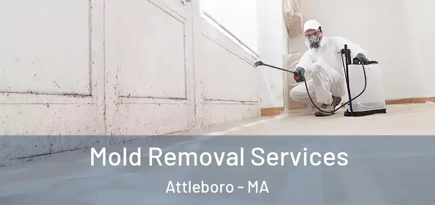 Mold Removal Services Attleboro - MA