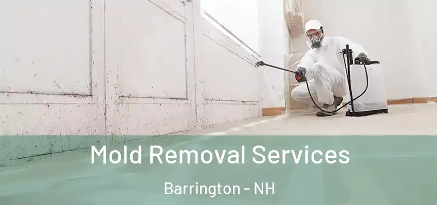 Mold Removal Services Barrington - NH